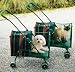 Kitchen & Housewares : Kittywalk Original Stripe Stroller