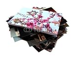 Wallmonkeys Peel and Stick Wall Decals - Photo - Removable Graphic