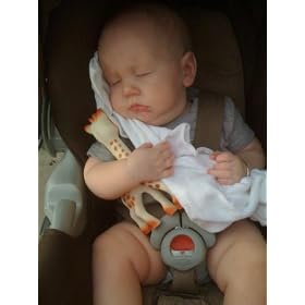 inexpensive Vulli Sophie the Giraffe Teether toys