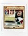 Morris Costumes Pirate Family Makeup Kit