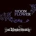 MOON FLOWER 