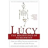 lucy the beginnings of humankind