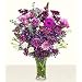 Lovely Lavender Fresh Flowers
