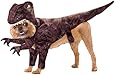 Animal Planet PET20109 Raptor Dog Costume, Size Medium