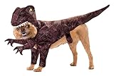 Animal Planet PET20109 Raptor Dog Costume, Size Medium