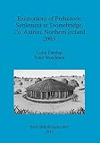 Excavations of prehistoric settlement at Toomebridge, Co. Antrim, Northern Ireland 2003