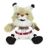 Arizona Diamondbacks 9" Plush NFL Football Team Mascot Stuffed Animal - Set of 2 - MLB Baseball