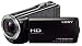 Sony HDRCX320EB