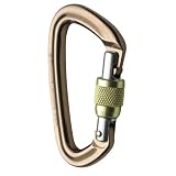 Black Diamond Positron Screwgate Carabiner , Mocha/Assorted Sleeve, One Size