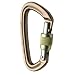 Black Diamond Positron Screwgate Carabiner (Mocha) - Standard