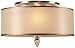 Crystorama Luxo Brass 14 Wide Ceiling Light