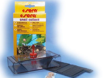 Sera 7000201 Snail Collect Preisvergleich