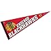 Wincraft NHL Chicago Blackhawks WCR63859513 Carded Classic Pennant, 12