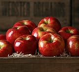 Honeycrisp Apples