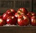 Honeycrisp Apples