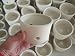 3 Small Cool Pots for Masdevallias