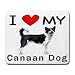 I Love My Canaan
