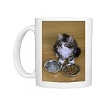 Photo Mugs of Norwegian Silvery Tabby - mackerel a white - by dry food and water bowl from Ardea Wildlife Pets