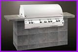E1060I-ML1P-W Echelon E1060i Built In Grill Propane Gas 12v Hot Surface Ignition Left Side Infrare