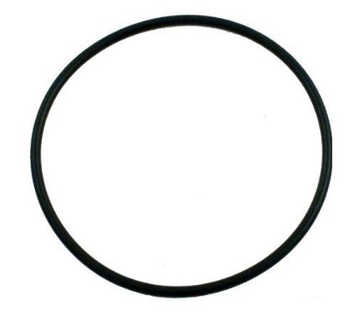 Pentair 354533 O-Ring Lid & Housing