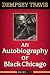 An Autobiography of Black Chicago