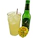 Regatta Ginger Beer - 12 oz Bottle