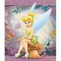Royal Raschel Plush Disney Tinkerbell Perched Throw