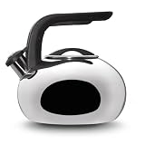 41Vc2eR4QeL. SL160  KitchenAid 2 Quart Stainless Steel Curling Teakettle