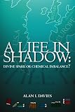 A Life in Shadow:: Divine Spark or Chemical Imbalance?