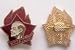 PIONEER BADGE * USSR RUSSIAN RARE VINTAGE PIN CCCP