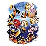 Tropical Fish Adult T-Shirt