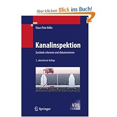 Kanalinspektion: Zust�nde erkennen und dokumentieren (VDI-Buch)