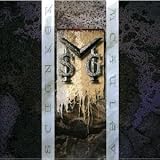 Msg