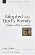 Adopted into God's Family: Exploring a Pauline Metaphor (New Studies in Biblical Theology)