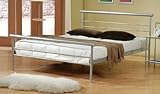Contemporary Metal Silver Platform Bed
