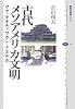 古代メソアメリカ文明――マヤ・テオティワカン・アステカ (講談社選書メチエ)