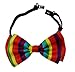 Pre-tied Bow Tie in Coool Brand Gift Box- Rainbow