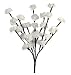 Floral Lights Lighted White Rose Branch with 30 bulbs, 20 inches (Battery operated)