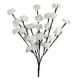 Return to product information