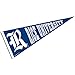 Rice Owls Pennant Full Size Felt
