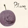 Plum: Thrill Jockey 7" Box Set (Vinyl)