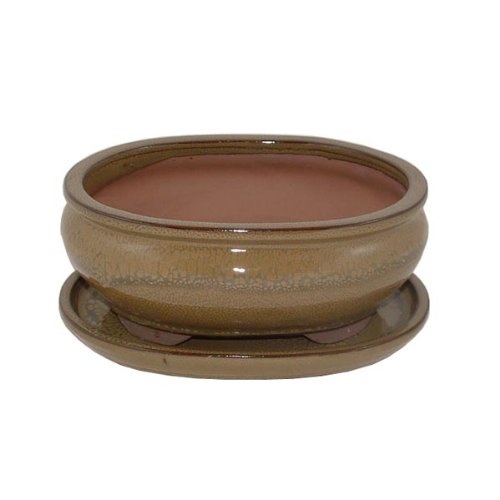 20cm Olive Coloured Oval Bonsai Pot and Tray 