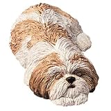Sandicast Shih Tzu Snoozer - gold/white