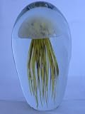 41Vdl%2Bd2FIL. SL160  Glass Jellyfish Paperweight Color Yellow and Brown 8.5 x 4.5    Jelly Fish Paper Weight