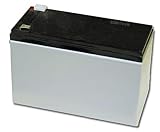 Gate Hardware: Mighty Mule FM152 Replacement Battery for Mighty Mule 250