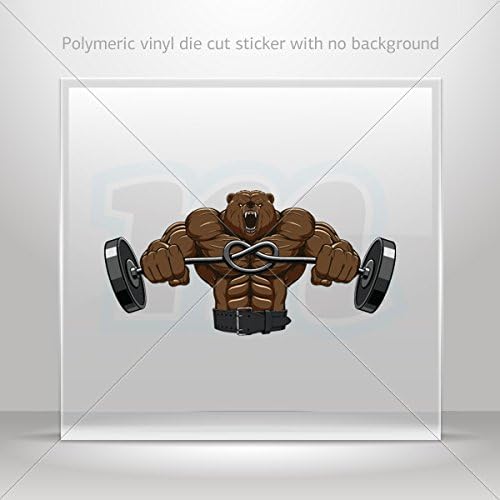Sticker Bodybuilder Bear Decorative Motorbike Bicycle Vehicle ATV Racing Gara (30 X 14.9 In)