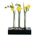 Inspiration 3-Tube Vase - Black