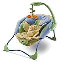 Fisher-Price Baby Papasan Infant Seat (Blue/Green)