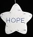 5" White Word Star "Hope" Christmas Ornament