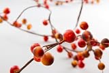 12 Feet of Beautiful Fall Colored Shiny Orange Berry Wired Garland for Fall Decor